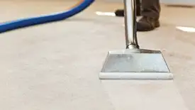 Carpet cleaning wand head gliding over a light carpet during hot-water extraction, Cambridge, MA.