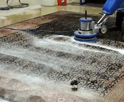 Professional rug cleaning with a rotary floor machine and shampoo foam, deep-cleaning an area rug, in Cambridge, MA.