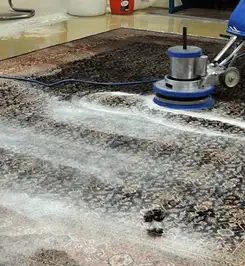 Professional rug cleaning with a rotary floor machine and shampoo foam, deep-cleaning an area rug Cambridge, MA.